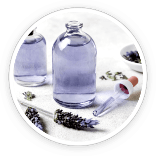 Close-up of fresh lavender flowers, representing the soothing and antifungal properties of lavender oil in Kerassentials.