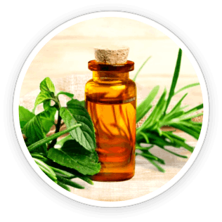 Tea tree leaves and a bottle of tea tree oil, highlighting its powerful antifungal and antibacterial benefits in Kerassentials.