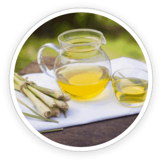 Fresh lemongrass stalks, representing the antimicrobial and nail-strengthening properties of lemongrass oil.