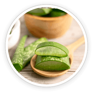 Cut aloe vera plant with gel, demonstrating its natural healing, soothing, and hydrating effects on skin and nails.